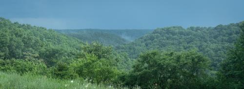 XPAN Landscape.jpg
